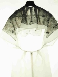 Huishan Zhang, CSM 2010 graduate