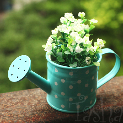 浇水壶 花洒 小花盆圆点