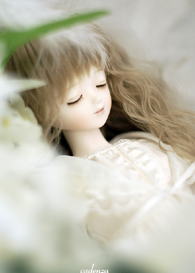 dolls~ 千娇百媚的可爱娃娃 dolls~ 千娇百媚的可爱娃娃