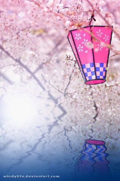 温暖如灯