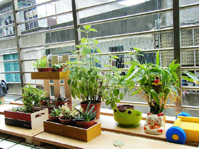DSCF8206 | Flickr – 相片分享！ 張相片