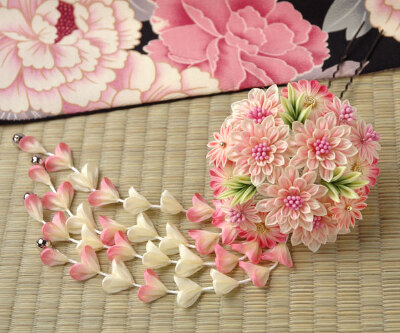 花无重开日，抓紧打扮吧姑娘们