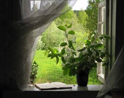 By Ионова Ирина-Window into Spring...