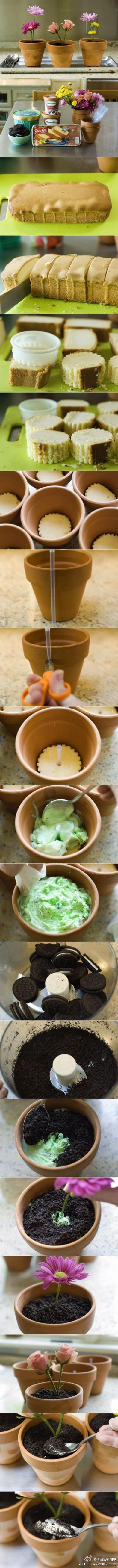 可以吃的盆栽