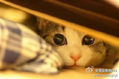一个人在家好怕怕。。。