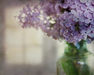 此时花开-By SarahMoldovan-Spring Perfume