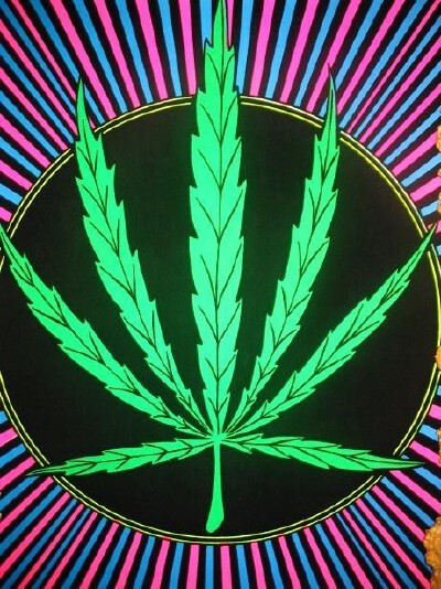 天气晴