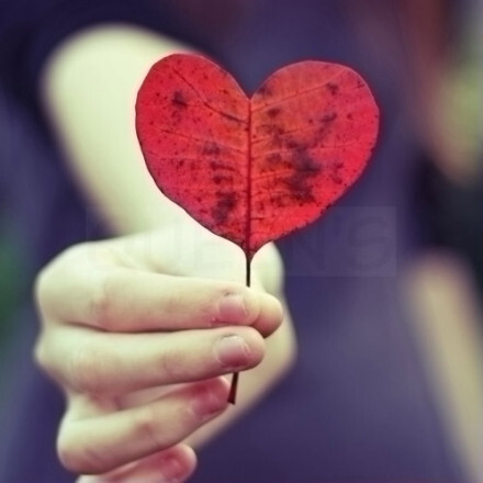 树叶，心形的
