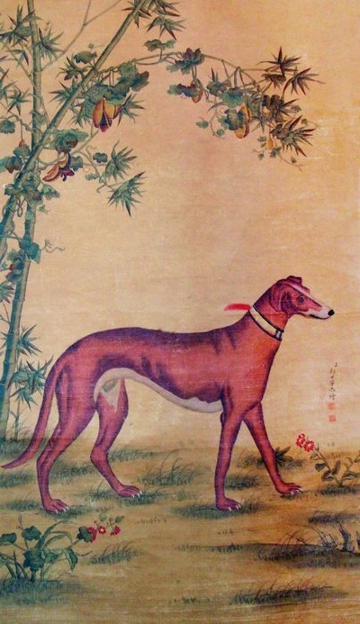 竹荫西犬图 郎世宁 清
