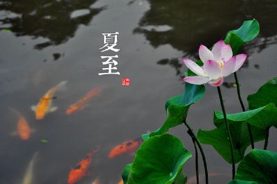 二十四节气 中国风明信片设计