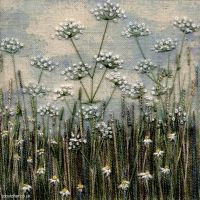 Cow Parsley and Daisy Meadow