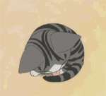 起司猫