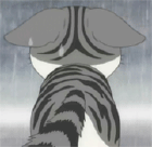 起司猫