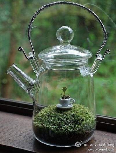 茶壶里的茶杯