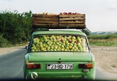 fruit