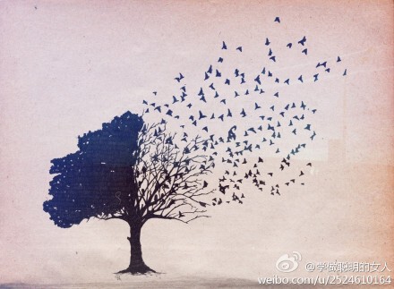 极简主义~