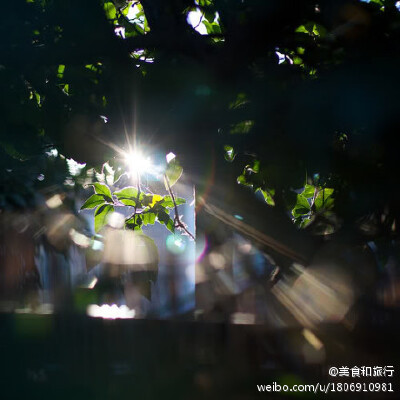 给我一片清晨，让我尝尝那立春的味道