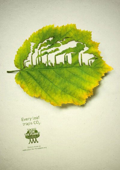 你感受到春的气息了吗？ Every leaf traps CO2.每一片叶子都能吸收二氧化碳，拯救树木，拯救环境，拯救地球=拯救你！亲近自然，远离尾气。