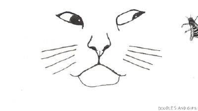 猫与苍蝇