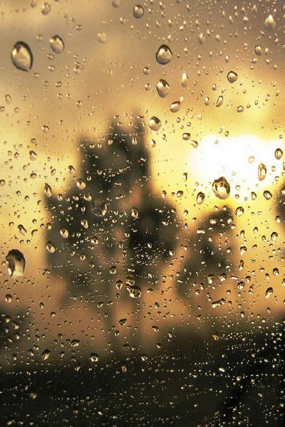 Rainy Day