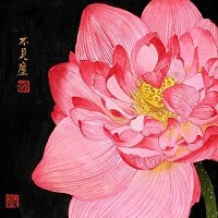 莲