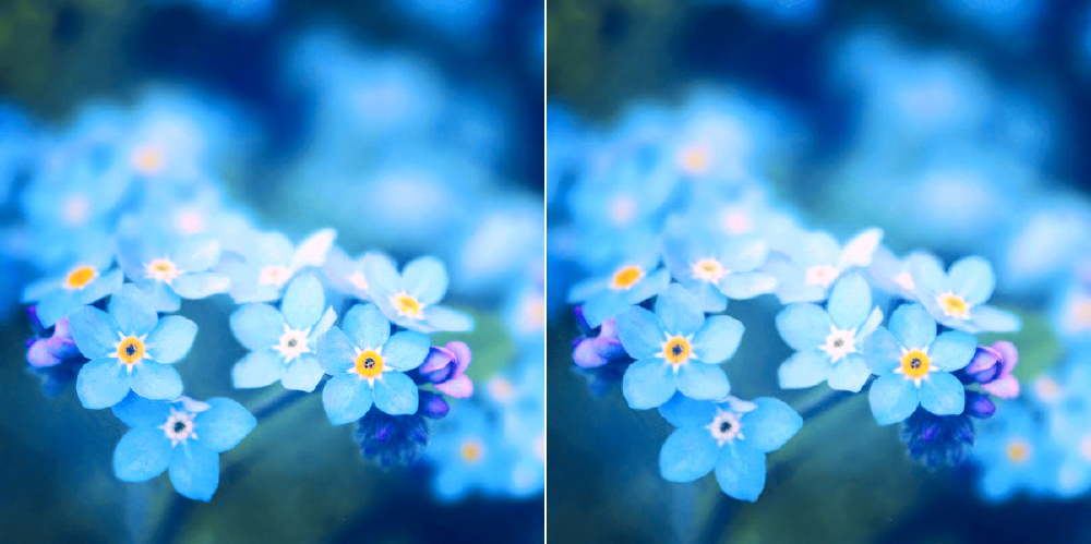 【我是{彩}花大盗】---