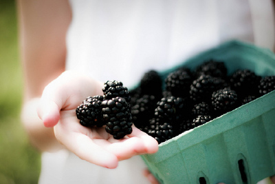 blackberry 黑莓