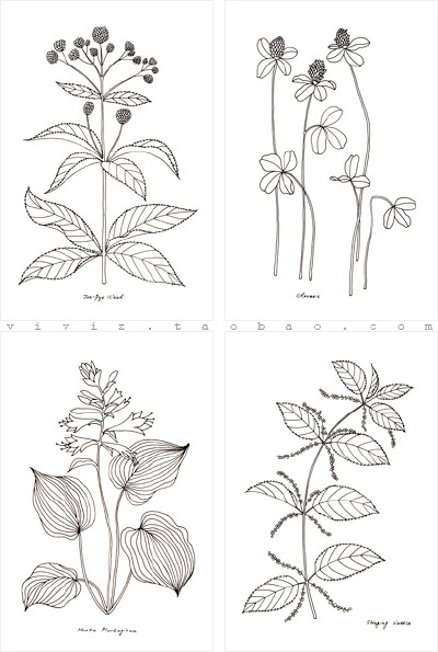 原创钢笔画卡片 花草