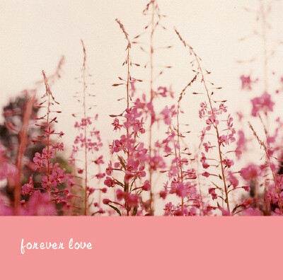 春 暖 花 开
