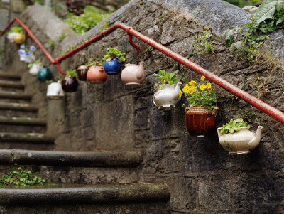 楼梯装饰——你也可以在自己家院子这么弄，发挥个想象吧