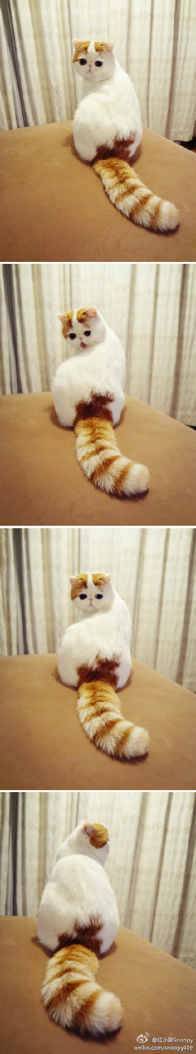 销魂的背影~~