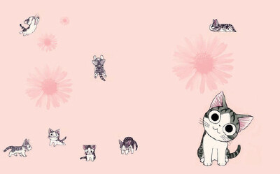 ★。、可爱、小起、猫咪、喵