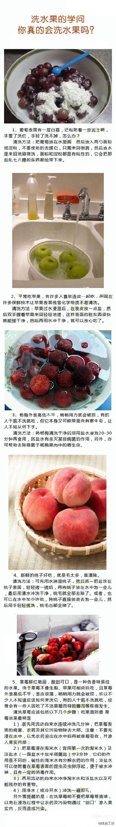 洗水果的学问——你真的会洗水果吗？洗水果的达人教你如何洗葡萄、苹果、杨梅、桃子、草莓！