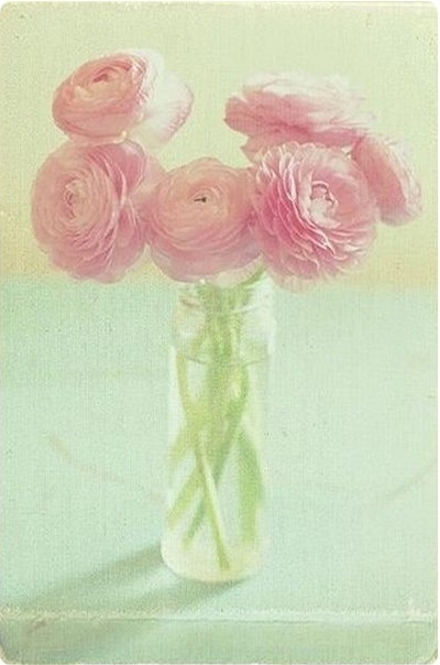 清新 摄影 插画 花 设计