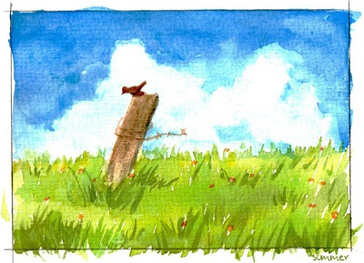 Summer <Postcard>
