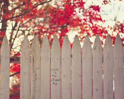 LOVE IS?