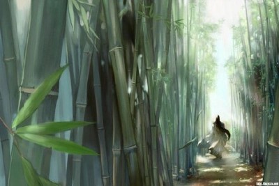 不如归去