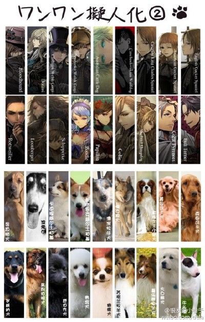 犬类拟人2