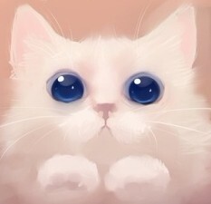 啊啊啊啊 可爱的猫猫