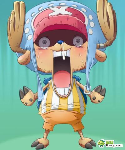 One Piece❤