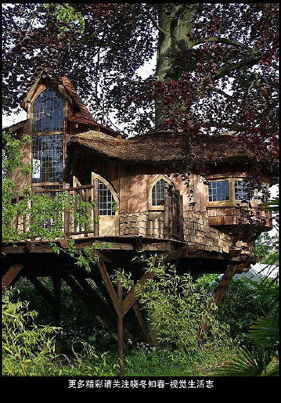 The tree houses, like Treetop, can cost as much as £ 250,000 each@晓冬知春