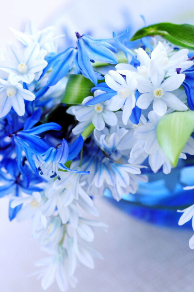 【我是{彩}花大盗】