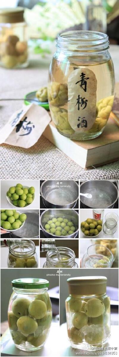 【让人越喝越年轻的自酿青梅酒】青梅酒具有三大功效：1.能调节肠胃；2.排毒；3.防老抗衰。做法也超简单，很容易学哦：1 500克青梅洗干净；2 焯青梅；3 沥干水分的青梅装入瓶中，分两次倒入200g冰糖，然后倒入500克白…