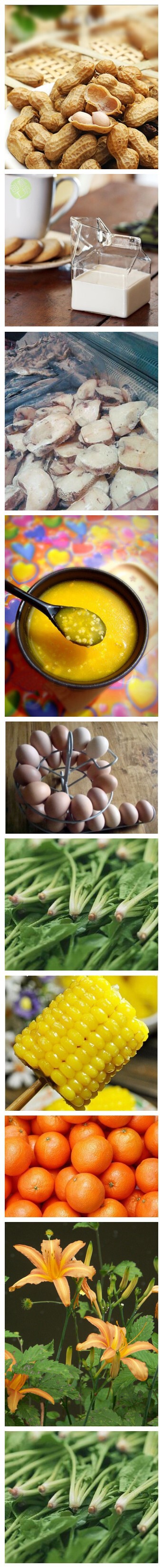 考生应该吃的10种食物 1 花生 2 牛奶 3 鱼类 4 小米 5鸡蛋 6 菠菜 7 玉米 8 橙子 9 黄花菜