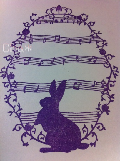 兔兔