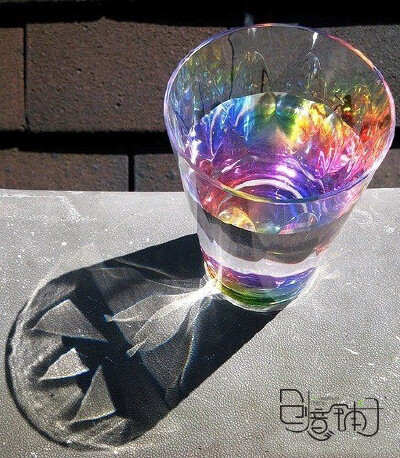 在阳光的照射下。。。。。。