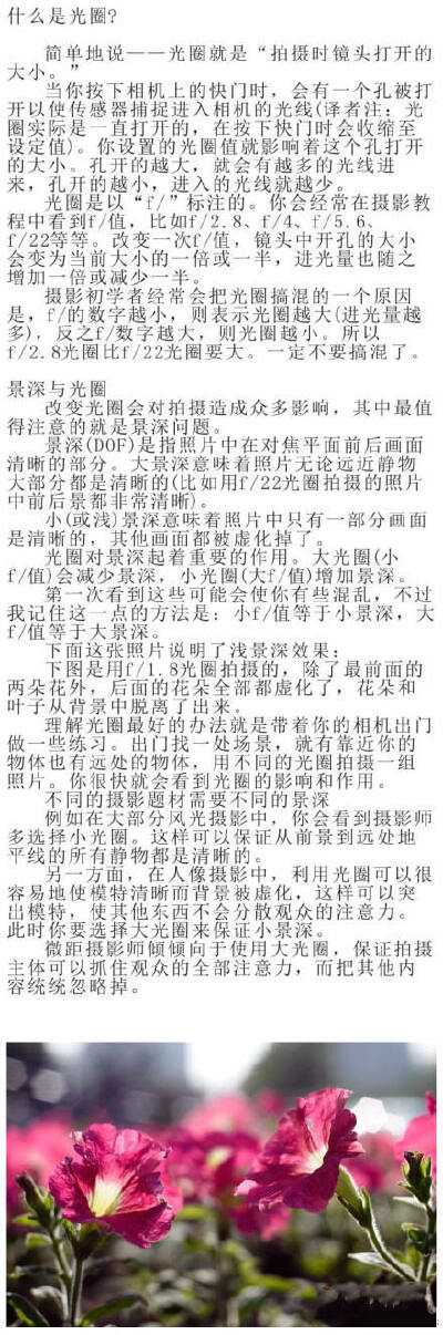 【摄影技巧】光圈解说