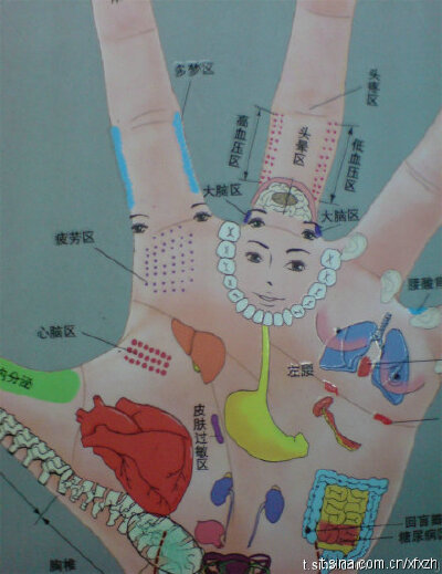 穴位