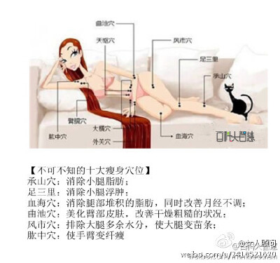 十大瘦身穴位