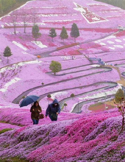 日本北海道的山坡~太美了~